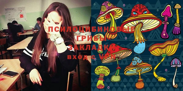 крисы Армянск