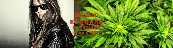 крисы Армянск