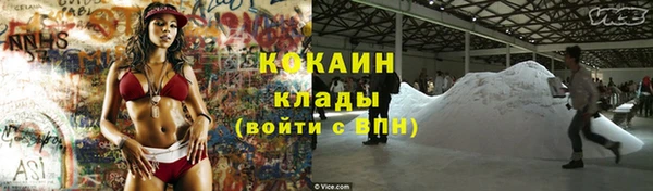 твердый Арсеньев