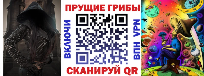 где найти   Ковылкино  Галлюциногенные грибы Magic Shrooms 